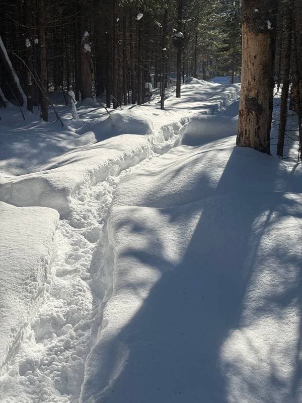 Ch. du Lac-Équerre, Lac-Supérieur — photo 4