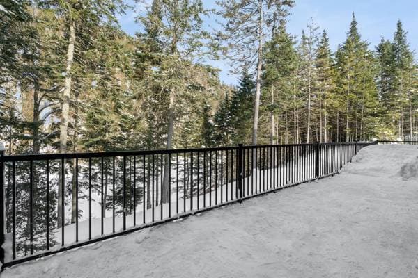 22Z Ch. des Berges, Saint-Adolphe-D'Howard — photo 32