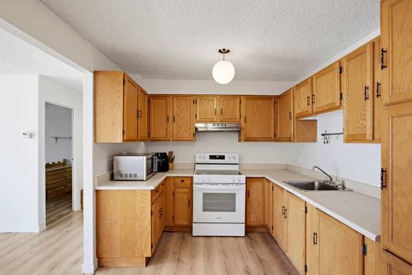 3470 Rue Durocher #501, Montréal (le Plateau-Mont-Royal) — photo 11