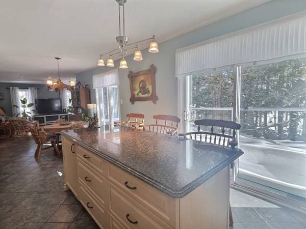 1033 Ch. Baie-Mcadam, Laniel — photo 9
