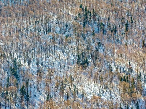 Route 117 S., Rivière-Rouge — photo 2