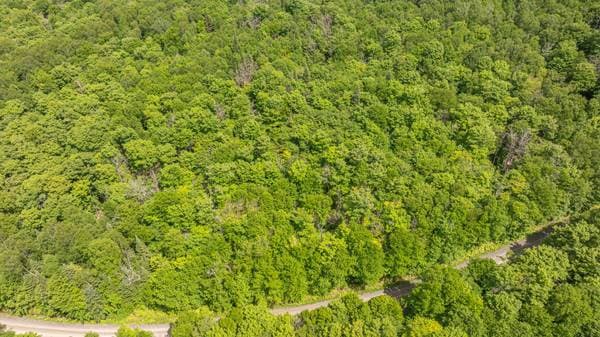 Ch. du Lac-Lauzon, Lac-Supérieur — photo 3