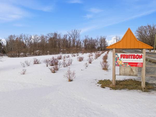 359Z Route 139, Roxton Pond — photo 11