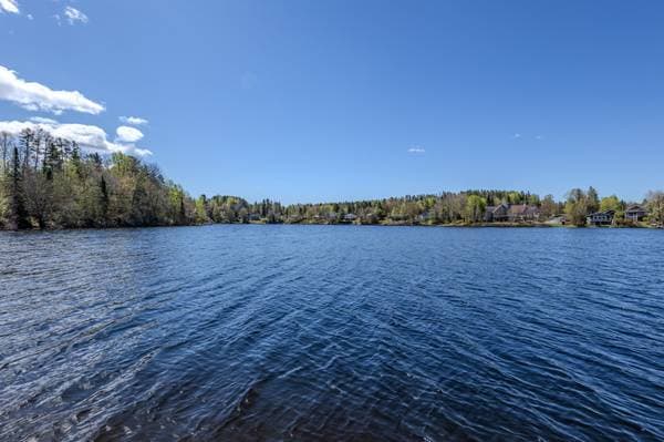 365 Ch. du Lac-Alain E., Saint-Raymond — photo 27