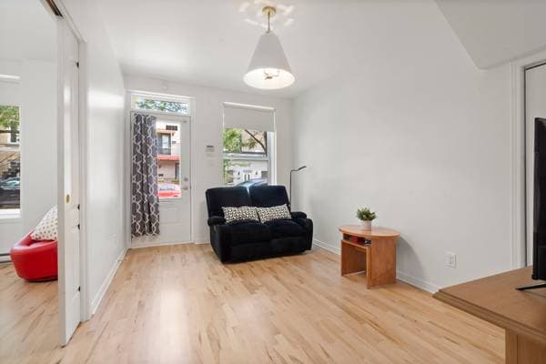 5226 -5228 Rue Garnier, Montréal (le Plateau-Mont-Royal) — photo 36