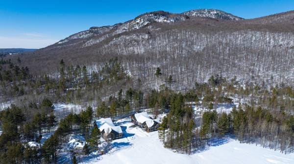 136 Rue du Flanc-Sud, Magog — photo 12