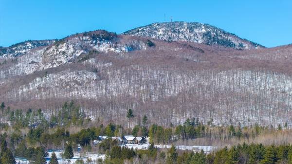 136 Rue du Flanc-Sud, Magog — photo 44