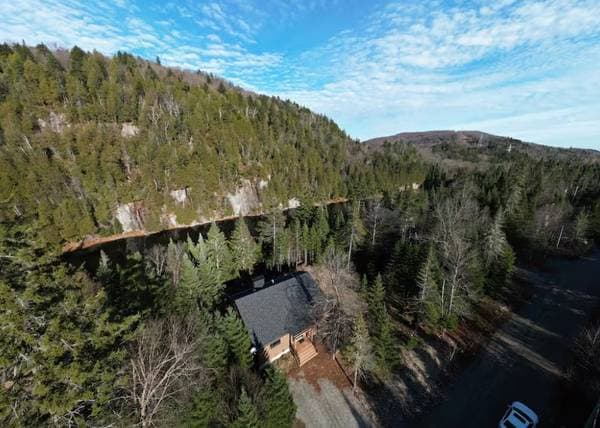 22 Ch. des Berges, Saint-Adolphe-D'Howard — photo 1