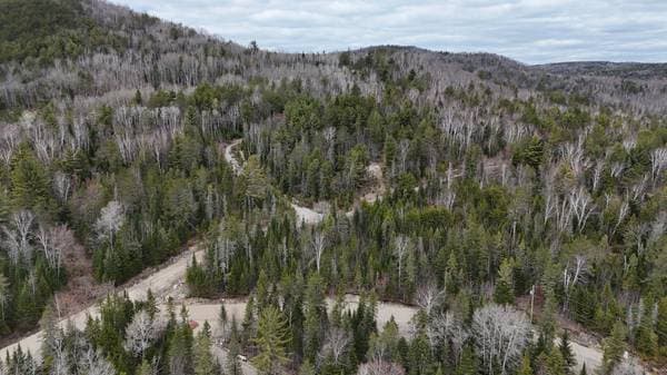 Mtée des Trappeurs, Saint-Côme — photo 4