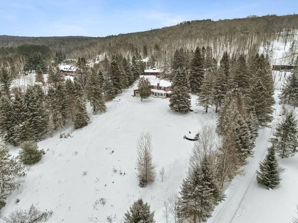 412 Ch. des Pionniers, La Minerve — photo 31