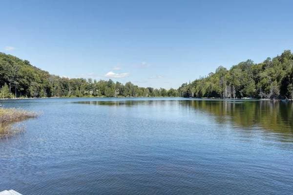 100 Ch. des Lacs-à-May, Entrelacs — photo 2