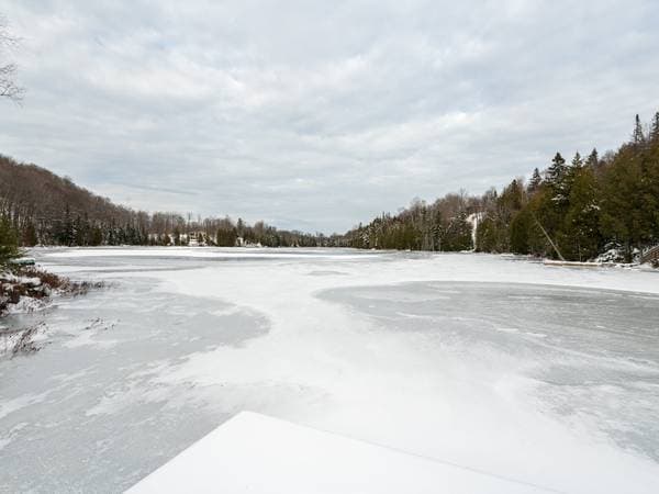 100 Ch. des Lacs-à-May, Entrelacs — photo 38