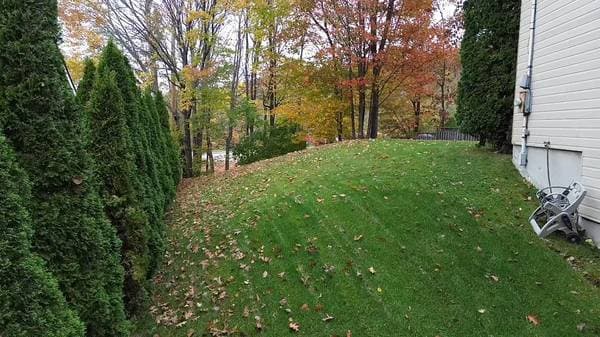 4 Rue du Belvédère, Témiscaming — photo 54