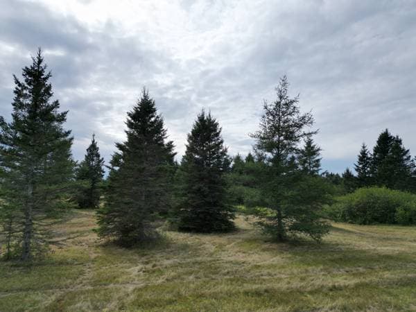 9e rang de St-Jogues, Hope — photo 13