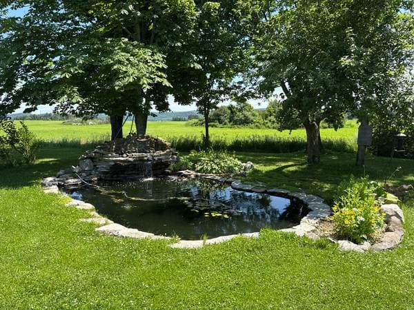 8 Route 132 O., Sainte-Anne-de-la-Pocatière — photo 29