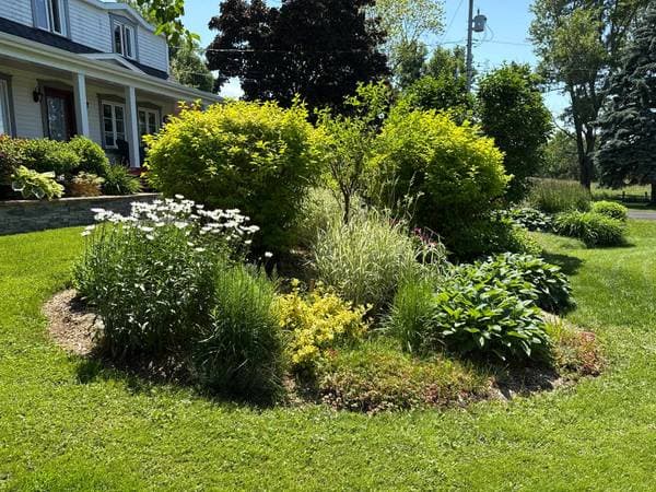 8 Route 132 O., Sainte-Anne-de-la-Pocatière — photo 4