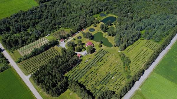 110 1er Rang, Saint-Romain — photo 3