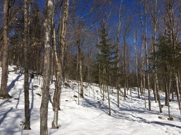 Ch. de la Pisciculture, Lac-des-Écorces — photo 10