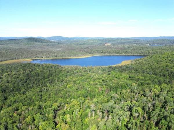 6e Rang, Sainte-Anne-du-Lac — photo 7