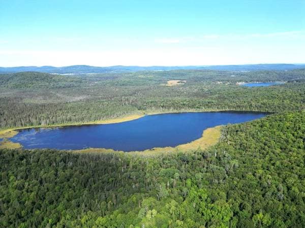 6e Rang, Sainte-Anne-du-Lac — photo 8