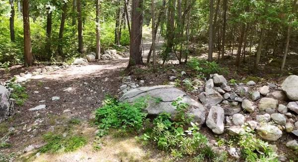 4019 Ch. du Boom-Camp, Témiscaming — photo 13