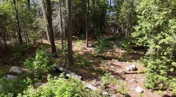 4019 Ch. du Boom-Camp, Témiscaming — photo 15
