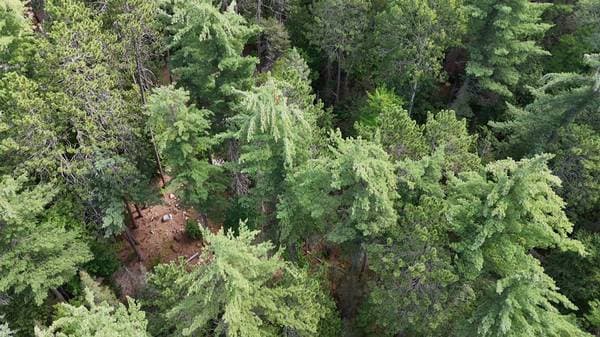 4019 Ch. du Boom-Camp, Témiscaming — photo 7