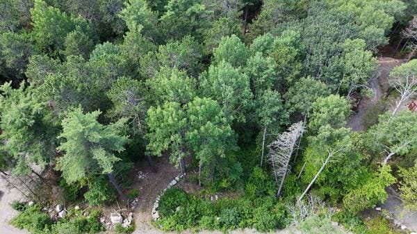 4019 Ch. du Boom-Camp, Témiscaming — photo 9