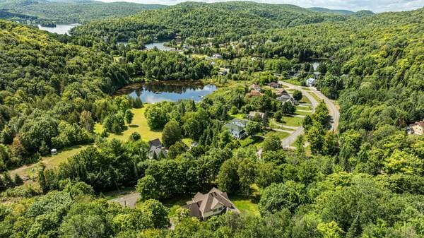 1 Rue Brin, Lac-des-Seize-Îles — photo 64