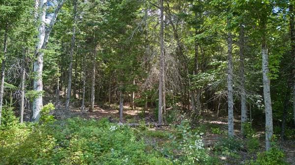 Ch. des Ancêtres, Morin-Heights — photo 11