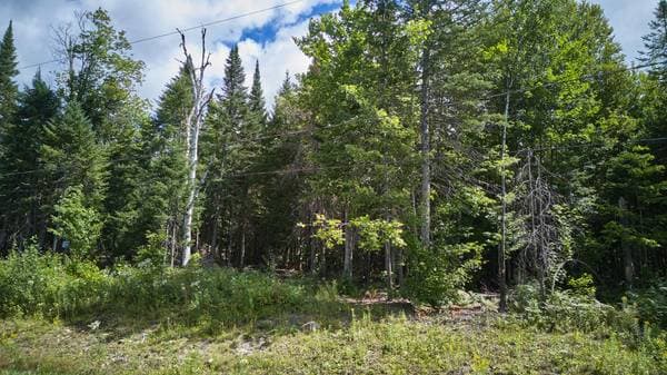 Ch. des Ancêtres, Morin-Heights — photo 16
