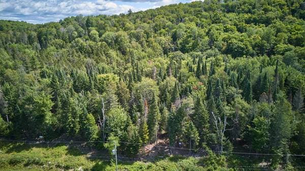 Ch. des Ancêtres, Morin-Heights — photo 17